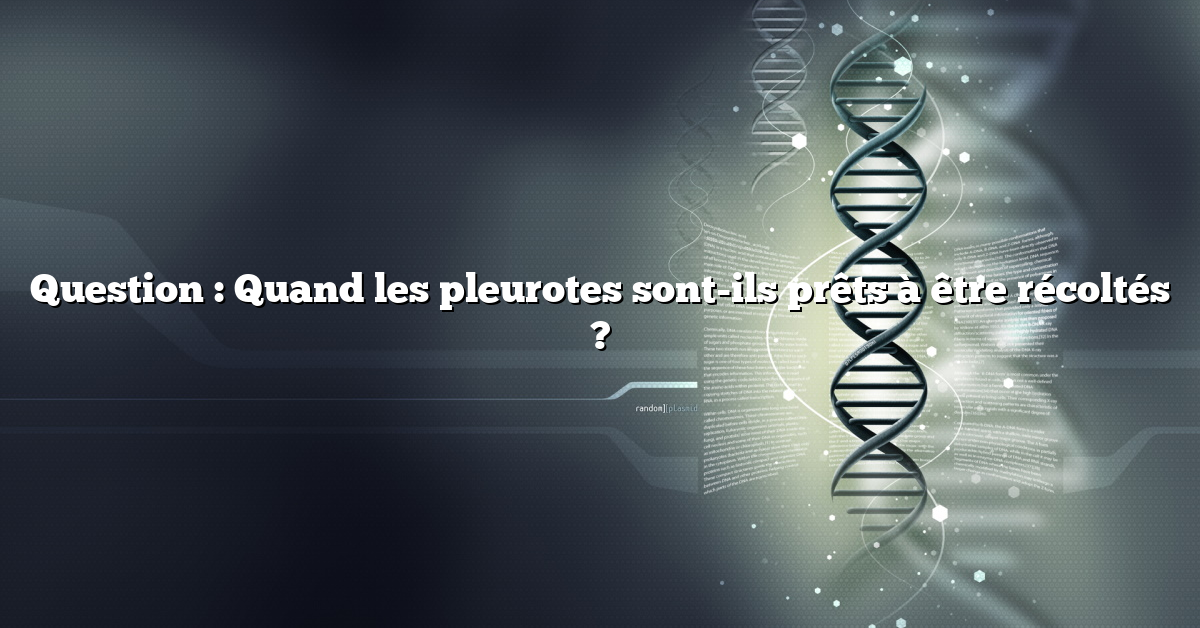 Question : Quand les pleurotes sont-ils prêts à être récoltés ?